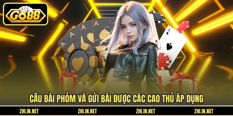 Câu Bài Phỏm Và Gửi Bài Cuối Trận Để Giảm Điểm Chi Tiết 4 go88 Câu Bài Phỏm Và Gửi Bài Cuối Trận Để Giảm Điểm Chi Tiết